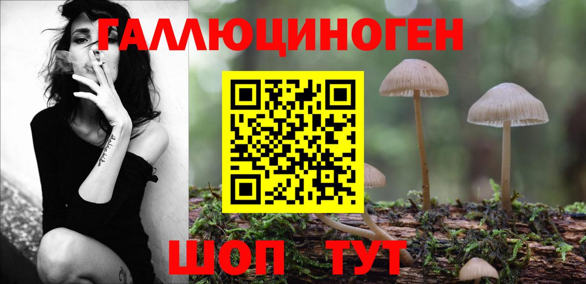 Галлюциногенные грибы GOLDEN TEACHER  Вход с VPN  Нерюнгри 